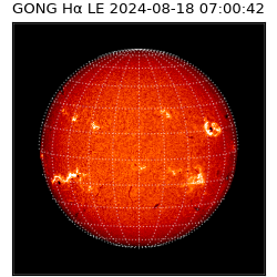 gong - 2024-08-18T07:00:42