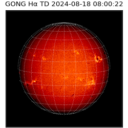 gong - 2024-08-18T08:00:22