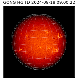 gong - 2024-08-18T09:00:22