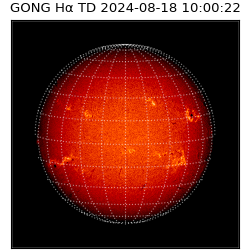 gong - 2024-08-18T10:00:22