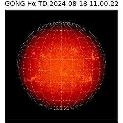 gong - 2024-08-18T11:00:22