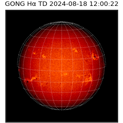 gong - 2024-08-18T12:00:22