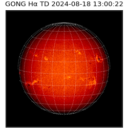 gong - 2024-08-18T13:00:22