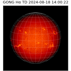 gong - 2024-08-18T14:00:22