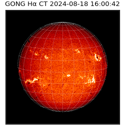 gong - 2024-08-18T16:00:42