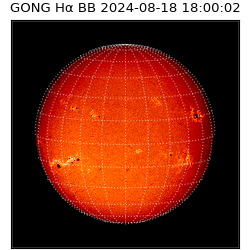 gong - 2024-08-18T18:00:02