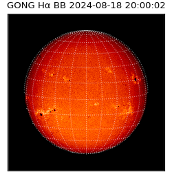 gong - 2024-08-18T20:00:02