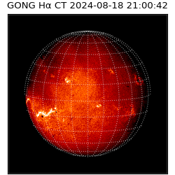 gong - 2024-08-18T21:00:42