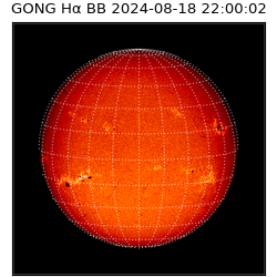 gong - 2024-08-18T22:00:02