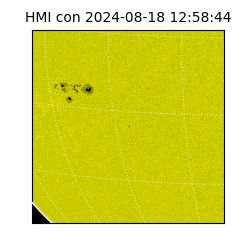 shmi - 2024-08-18T12:58:44