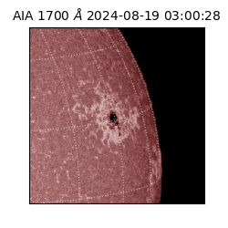 saia - 2024-08-19T03:00:28.720000