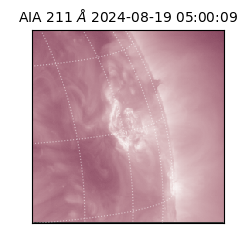 saia - 2024-08-19T05:00:09.626000