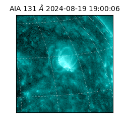 saia - 2024-08-19T19:00:06.625000