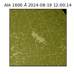 saia - 2024-08-19T12:00:14.125000