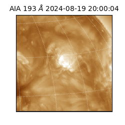 saia - 2024-08-19T20:00:04.843000