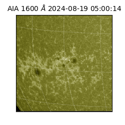 saia - 2024-08-19T05:00:14.126000