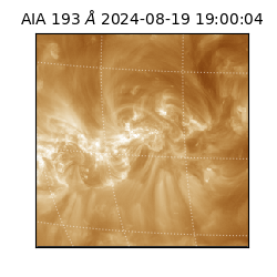 saia - 2024-08-19T19:00:04.843000