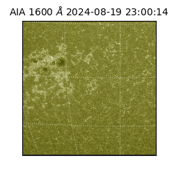 saia - 2024-08-19T23:00:14.130000