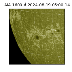 saia - 2024-08-19T05:00:14.126000