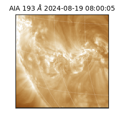 saia - 2024-08-19T08:00:05.959000