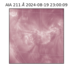 saia - 2024-08-19T23:00:09.630000