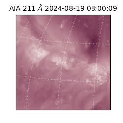 saia - 2024-08-19T08:00:09.626000