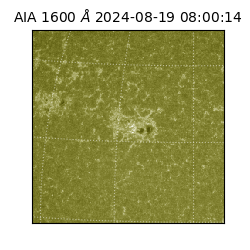 saia - 2024-08-19T08:00:14.125000