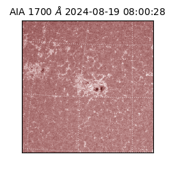 saia - 2024-08-19T08:00:28.721000