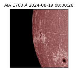 saia - 2024-08-19T08:00:28.721000