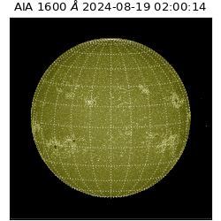 saia - 2024-08-19T02:00:14.125000