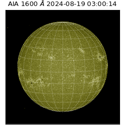 saia - 2024-08-19T03:00:14.129000