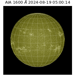 saia - 2024-08-19T05:00:14.126000