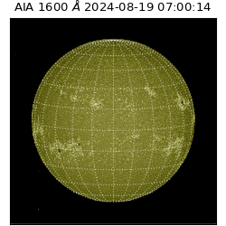 saia - 2024-08-19T07:00:14.129000