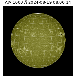 saia - 2024-08-19T08:00:14.125000