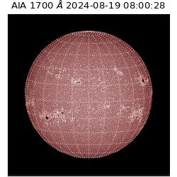 saia - 2024-08-19T08:00:28.721000