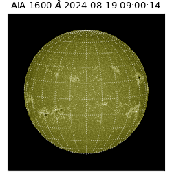 saia - 2024-08-19T09:00:14.126000