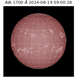 saia - 2024-08-19T09:00:28.710000