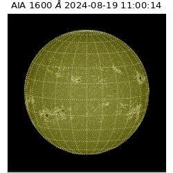 saia - 2024-08-19T11:00:14.126000