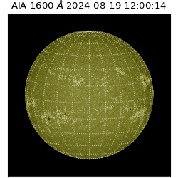 saia - 2024-08-19T12:00:14.125000