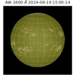 saia - 2024-08-19T15:00:14.125000