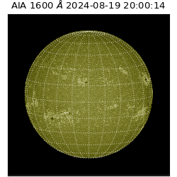 saia - 2024-08-19T20:00:14.126000