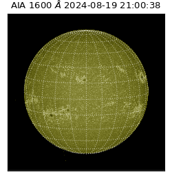 saia - 2024-08-19T21:00:38.132000