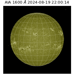 saia - 2024-08-19T22:00:14.126000