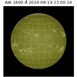 saia - 2024-08-19T23:00:14.130000