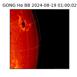 gong - 2024-08-19T01:00:02