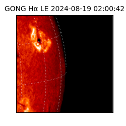 gong - 2024-08-19T02:00:42