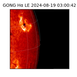 gong - 2024-08-19T03:00:42
