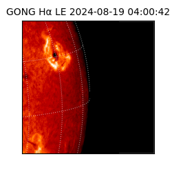 gong - 2024-08-19T04:00:42