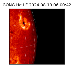 gong - 2024-08-19T06:00:42