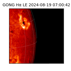 gong - 2024-08-19T07:00:42